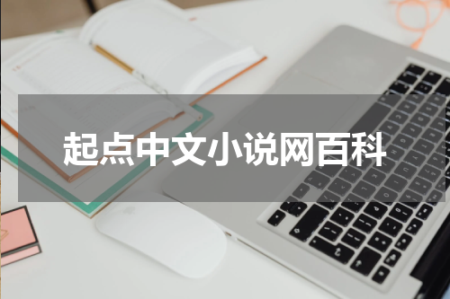 起点中文小说网百科