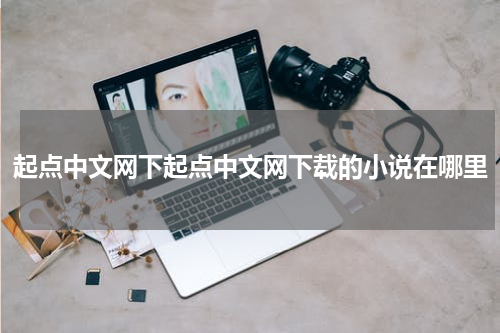 起点中文网下起点中文网下载的小说在哪里