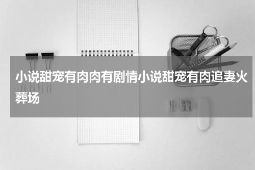 小说甜宠有肉肉有剧情小说甜宠有肉追妻火葬场