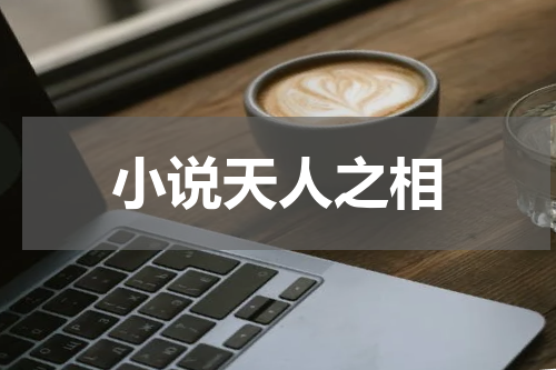 小说天人之相