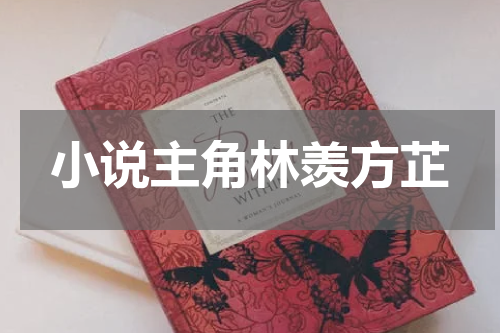 小说主角林羡方芷