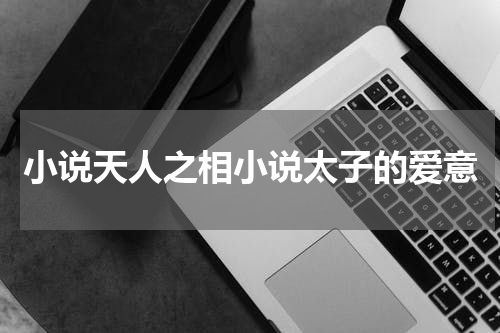 小说天人之相小说太子的爱意