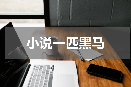 小说一匹黑马