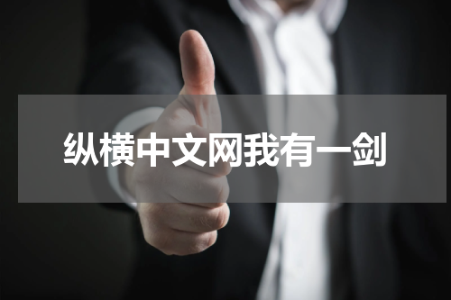 纵横中文网我有一剑