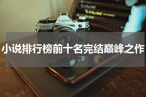 小说排行榜前十名完结巅峰之作