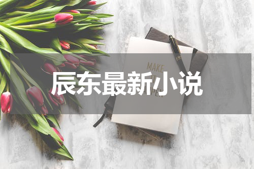 辰东最新小说