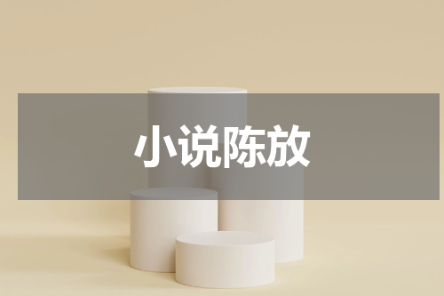 小说陈放