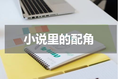 小说里的配角