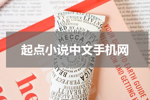起点小说中文手机网