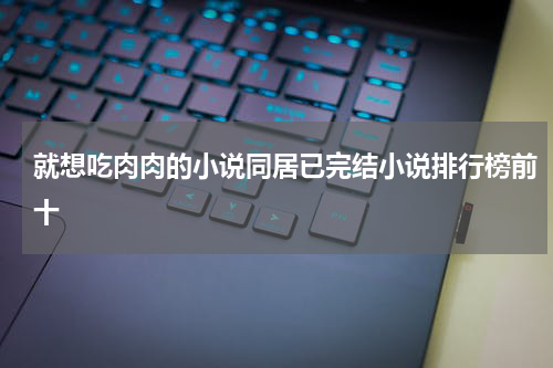 就想吃肉肉的小说同居已完结小说排行榜前十