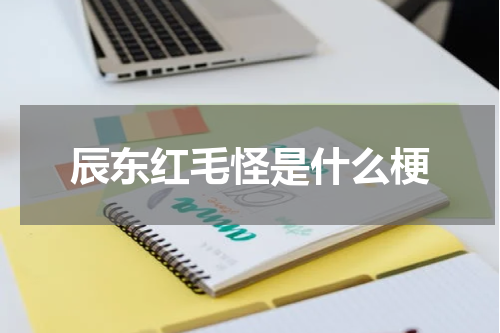 辰东红毛怪是什么梗