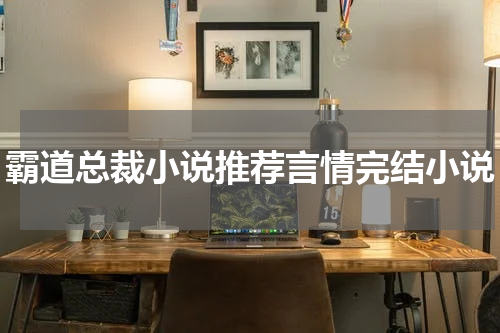 霸道总裁小说推荐言情完结小说