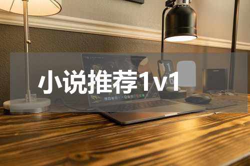 小说推荐1v1