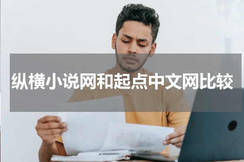 纵横小说网和起点中文网比较