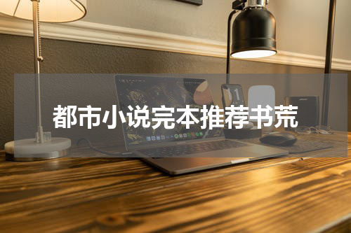 都市小说完本推荐书荒
