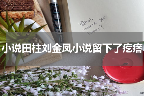 小说田柱刘金凤小说留下了疙瘩