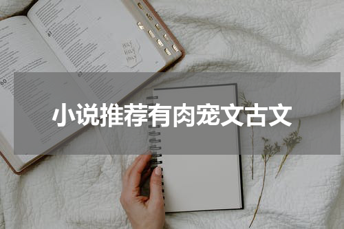 小说推荐有肉宠文古文