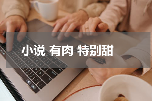 小说 有肉 特别甜