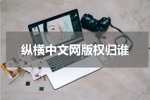 纵横中文网版权归谁