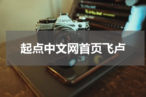 起点中文网首页飞卢