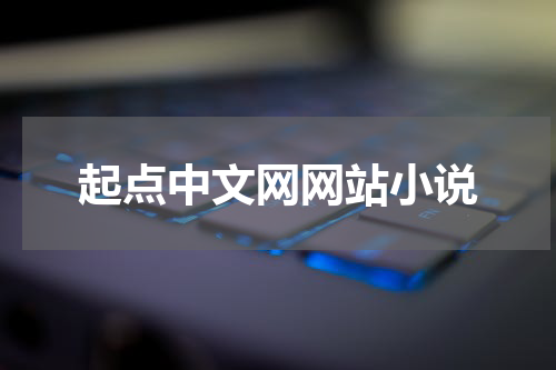 起点中文网网站小说
