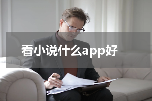 看小说什么app好