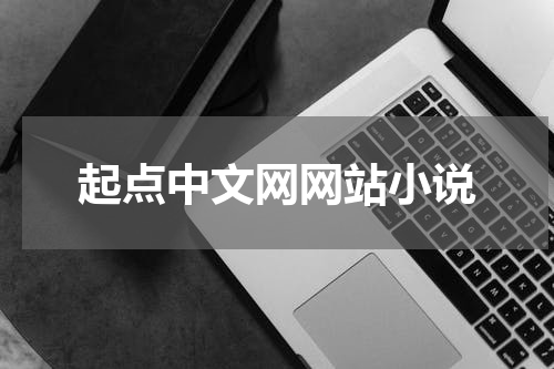 起点中文网网站小说