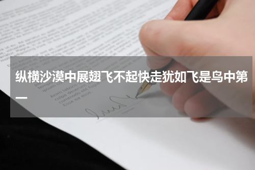 纵横沙漠中展翅飞不起快走犹如飞是鸟中第一