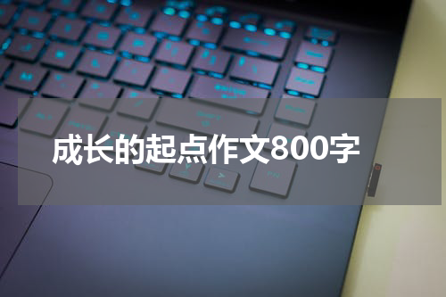 成长的起点作文800字