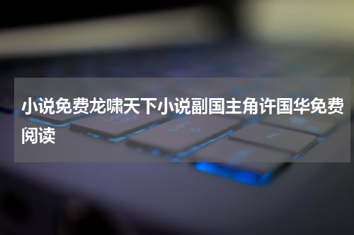 小说免费龙啸天下小说副国主角许国华免费阅读