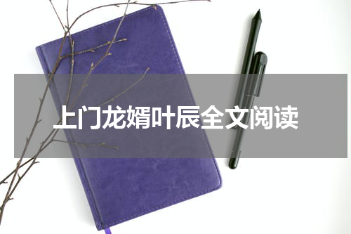上门龙婿叶辰全文阅读