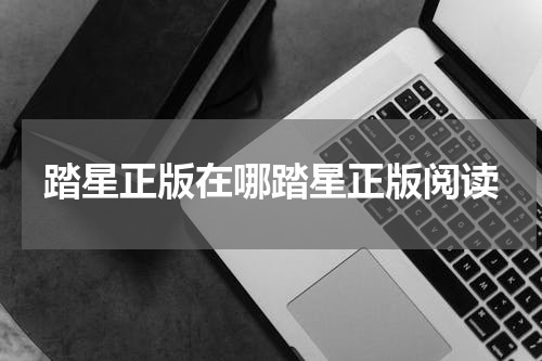 踏星正版在哪踏星正版阅读