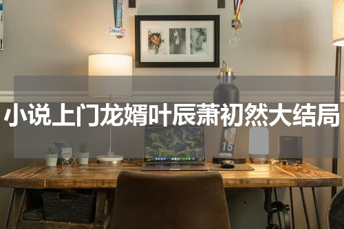小说上门龙婿叶辰萧初然大结局