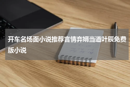 开车名场面小说推荐言情弃婿当道叶辰免费版小说