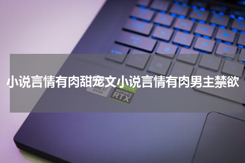 小说言情有肉甜宠文小说言情有肉男主禁欲