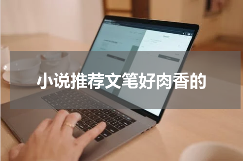 小说推荐文笔好肉香的