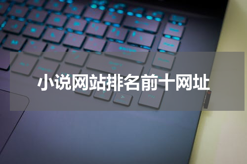 小说网站排名前十网址