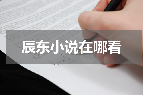 辰东小说在哪看