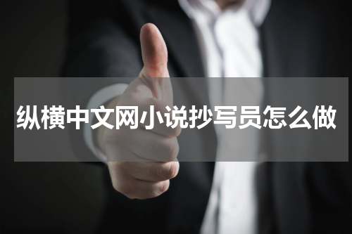 纵横中文网小说抄写员怎么做