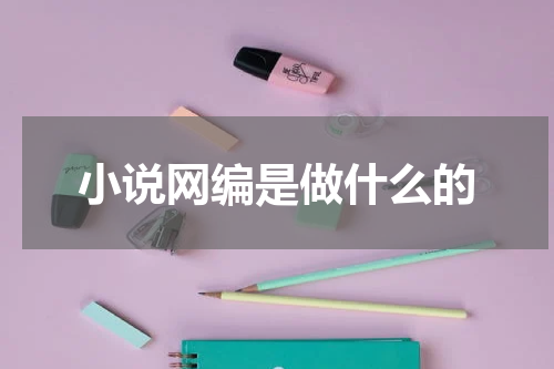 小说网编是做什么的