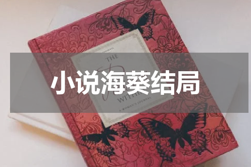 小说海葵结局