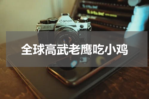 全球高武老鹰吃小鸡