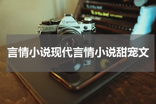 言情小说现代言情小说甜宠文