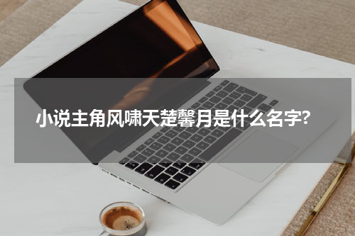 小说主角风啸天楚馨月是什么名字?