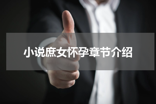 小说庶女怀孕章节介绍