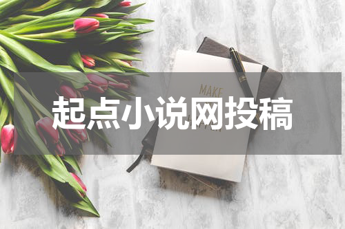 起点小说网投稿