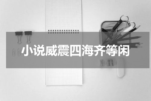 小说威震四海齐等闲