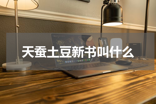 天蚕土豆新书叫什么