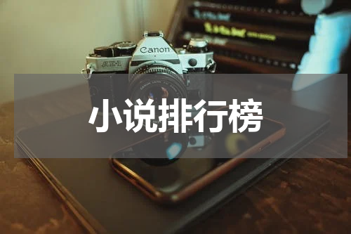 小说排行榜