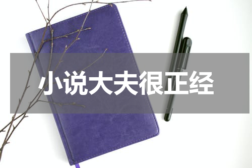 小说大夫很正经